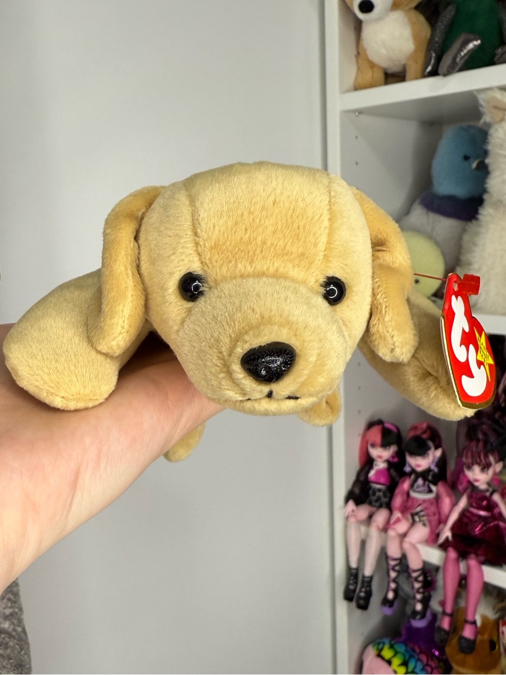 TY Beanie Baby ~ Fetch with Tags